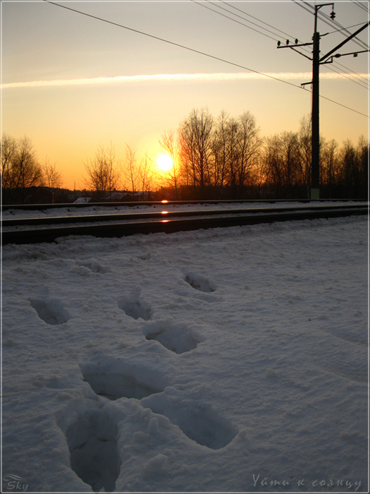 Фото жизнь