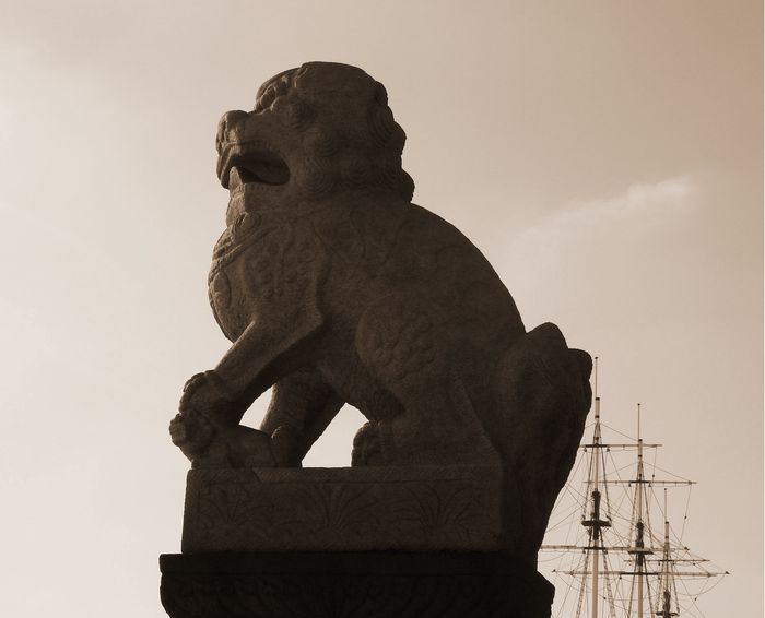 Фото жизнь (light) - Трофимова Кристина - корневой каталог - Лев - питерские морские сказки