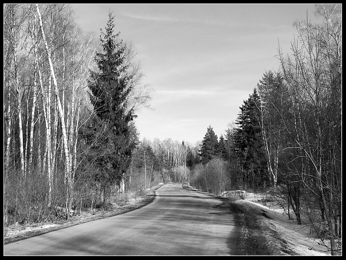 Фото жизнь (light) - Passerby_Andrew - Подмосковье - Одно мгновение весны