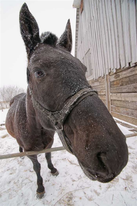 Фото жизнь