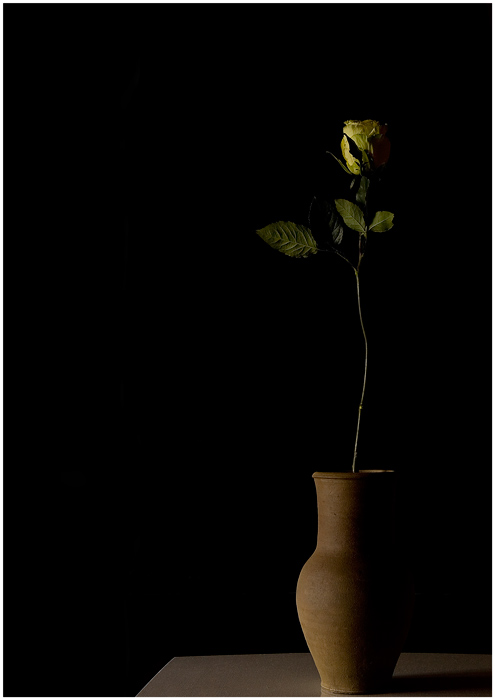 Фото жизнь (light) - SergKuran - корневой каталог - Одиночество
