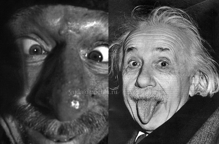 Фото жизнь (light) - yuda - корневой каталог - Вилла-Сан-Альбертине тта