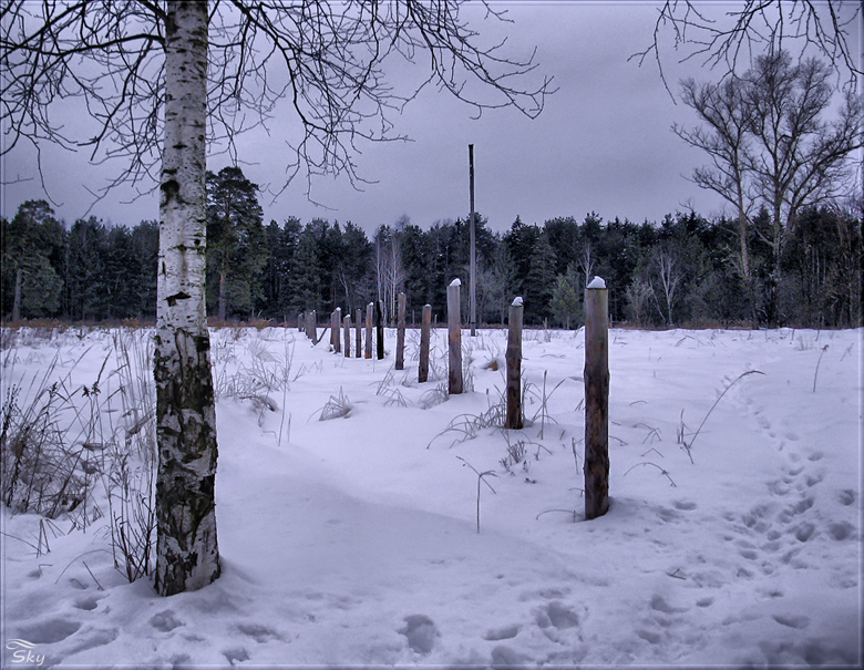 Фото жизнь - Natali Sky - Весь этот снег - Зимой на заброшенном хуторе