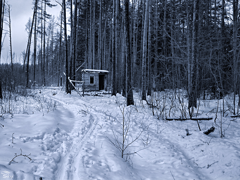 Фото жизнь
