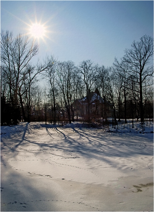 Фото жизнь