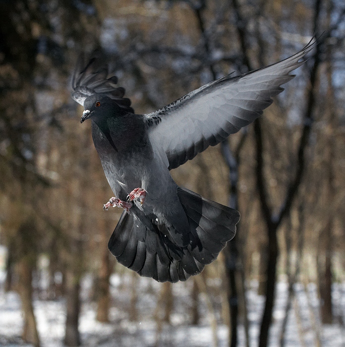 Фото жизнь