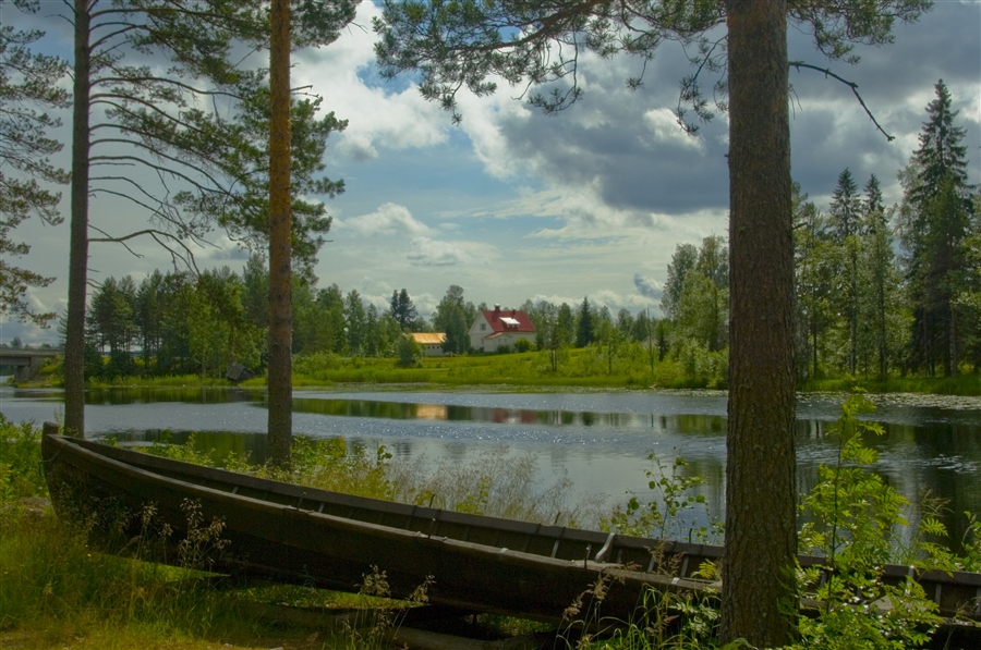 Фото жизнь