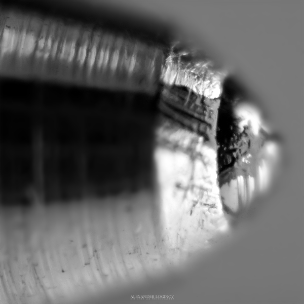 Фото жизнь (light) - Логинов Александр - Макро - Макро - самодельным макро объективом "Гелевая ручка"