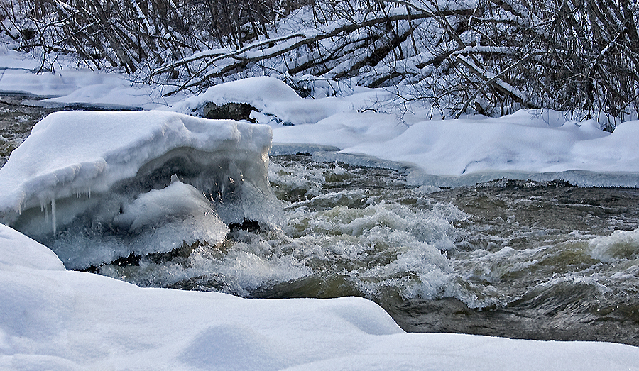Фото жизнь (light) - Vitalina - Карелия - ***