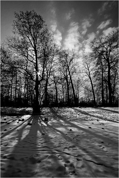 Фото жизнь