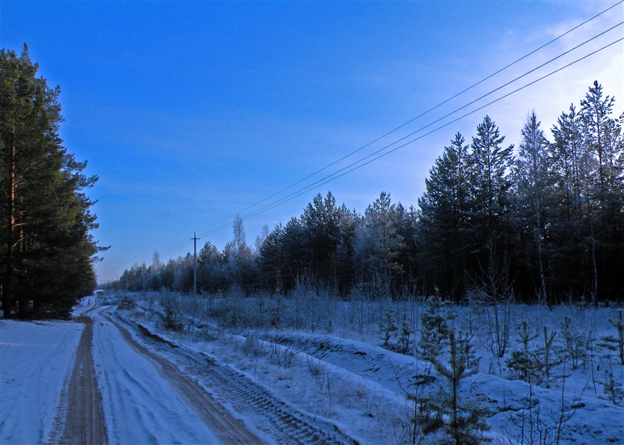 Фото жизнь