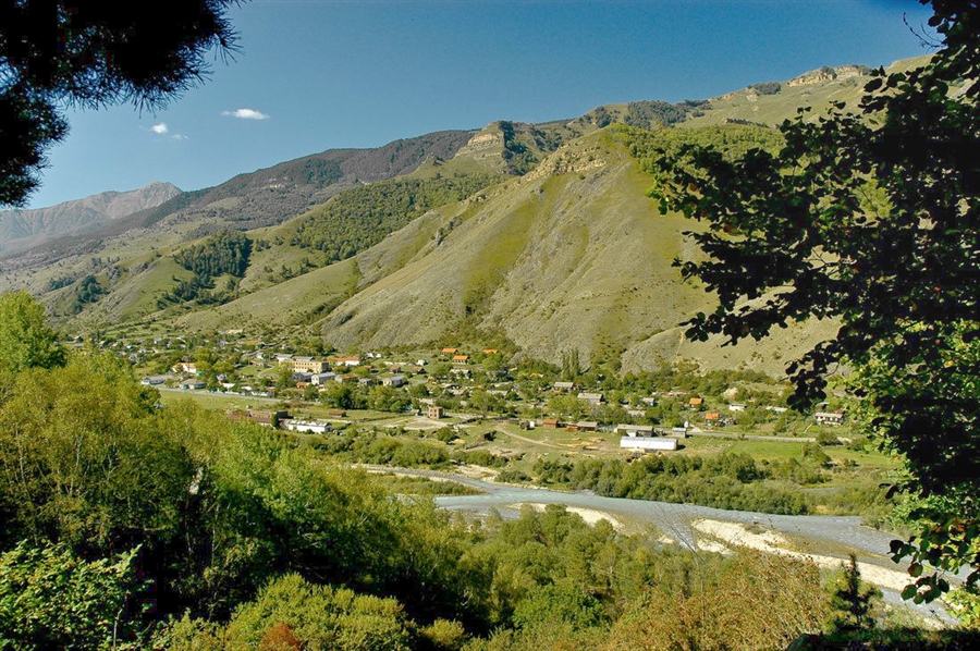 Фото жизнь