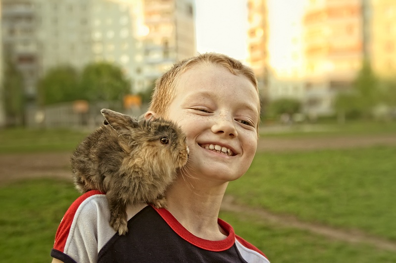 Фото жизнь (light) - Lisovsky - Жизни карусель - Про счастье.