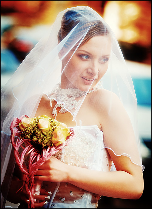 Фото жизнь (light) - Виктор Бабинцев - Свадьба 2008 - Портрет невесты
