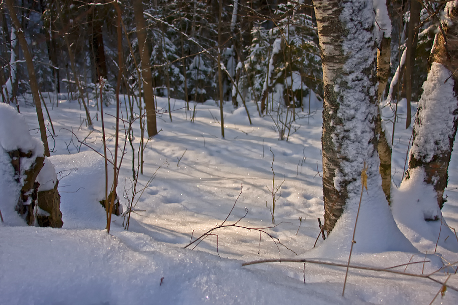 Фото жизнь (light) - Vitalina - Карелия - ***