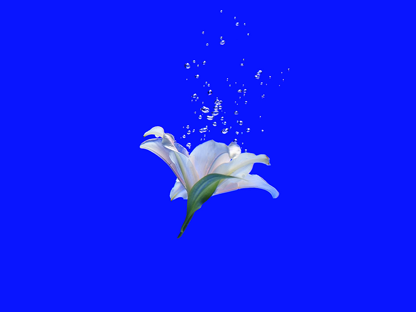 Т И Т А Н И К У