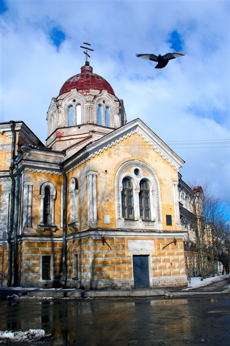 Фото жизнь