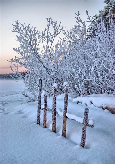 Фото жизнь