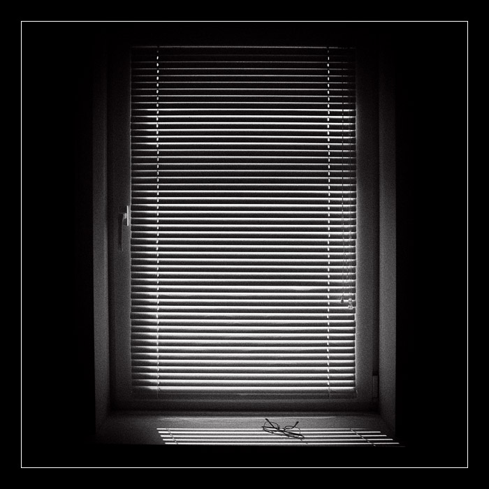 Фото жизнь (light) - alkonon - Разное - Очки лежали на окне, очки лежали...