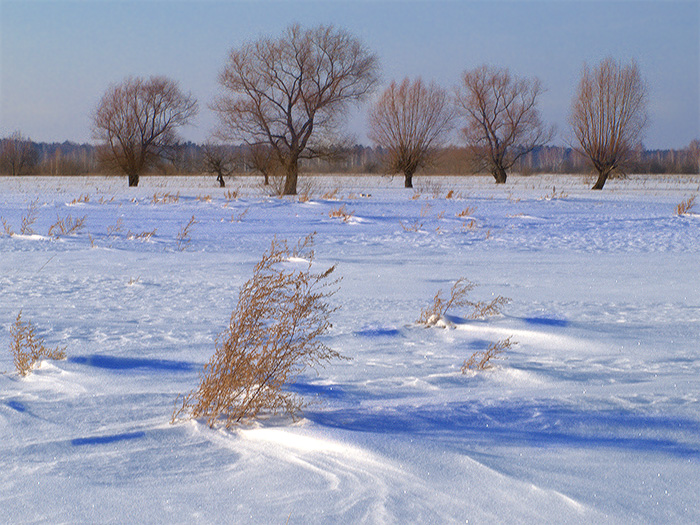 Фото жизнь - Ed_Alt - корневой каталог - Зима еще тут, а солныщко ее уже гонит
