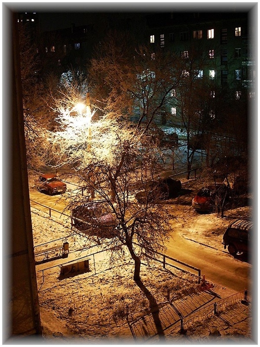 Фото жизнь