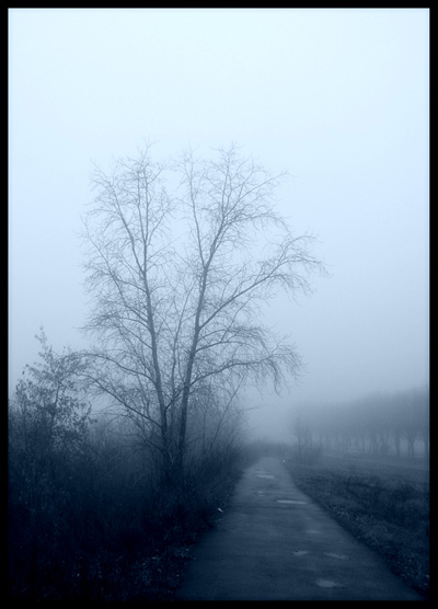 Фото жизнь (light) - un_rayo_del_sol - Haze - Туман...