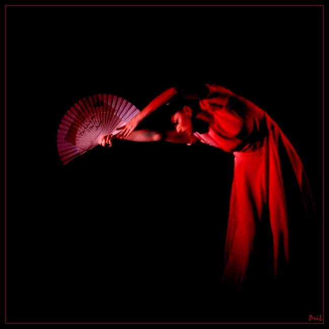 Фото жизнь (light) - prilev - Ах, эта музыка, музыка, музыка... - Фламенко