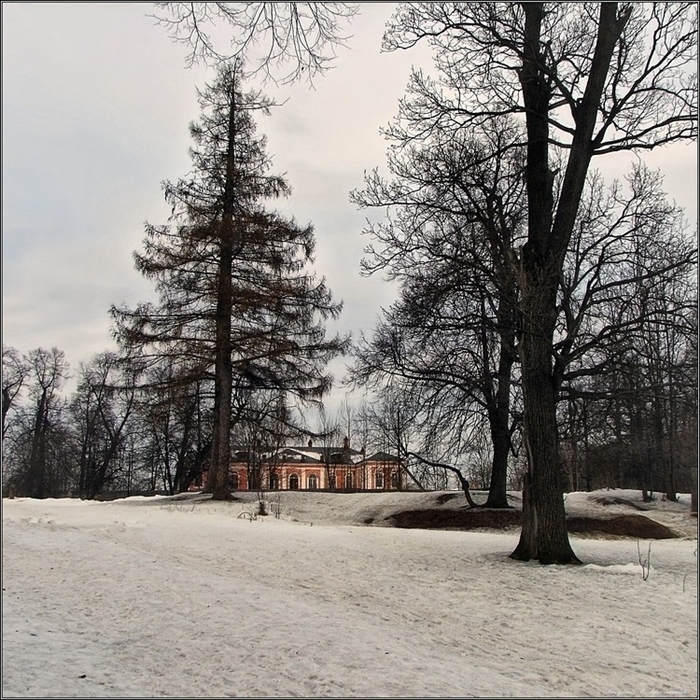 Фото жизнь