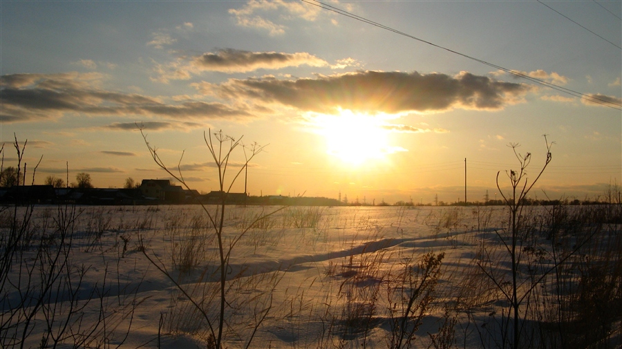 Фото жизнь