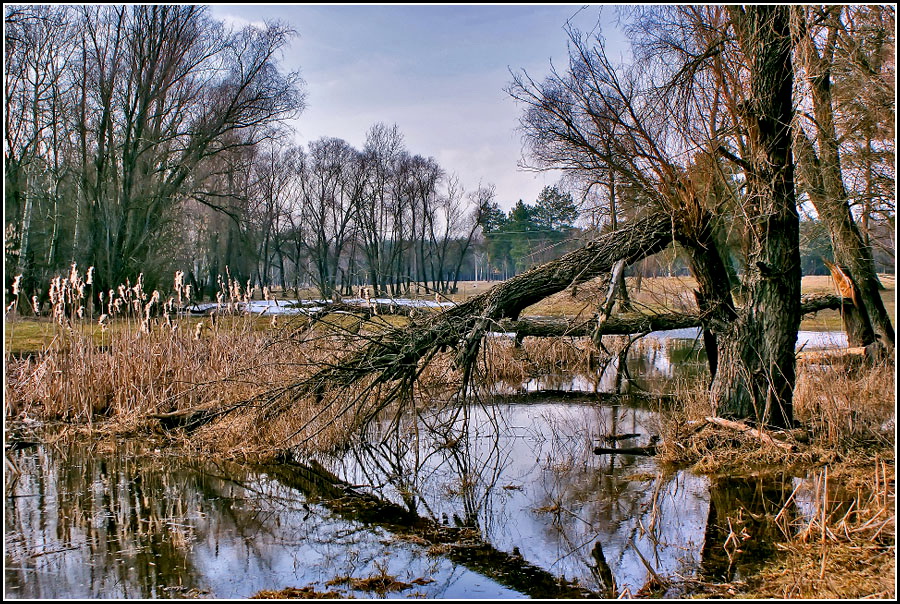 Фото жизнь (light) - Игорь Копица - пейзаж - ***