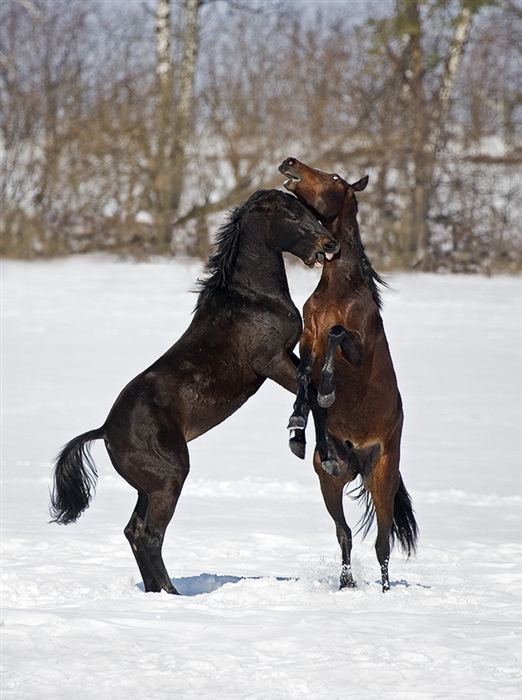 Фото жизнь