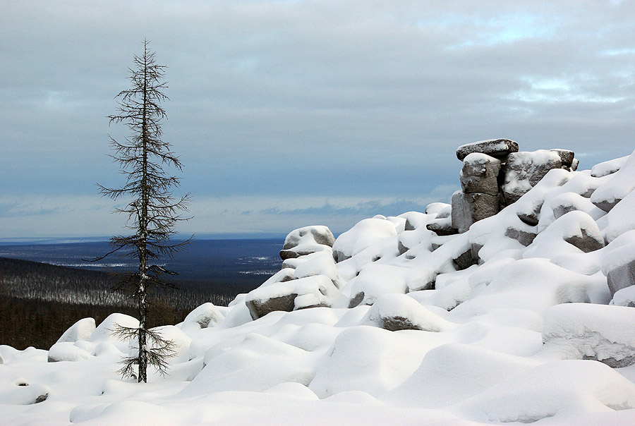 Фото жизнь - Виктор Солодухин - Сказочная зима - На Севере Диком стоит одиноко