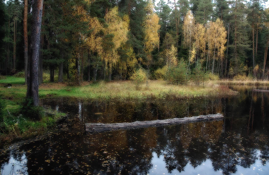 Фото жизнь - Pastor - ПЕЙЗАЖИ - Осеннее озеро
