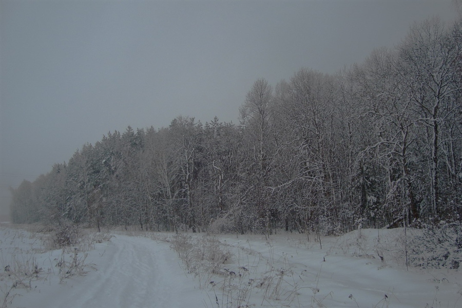 Фото жизнь