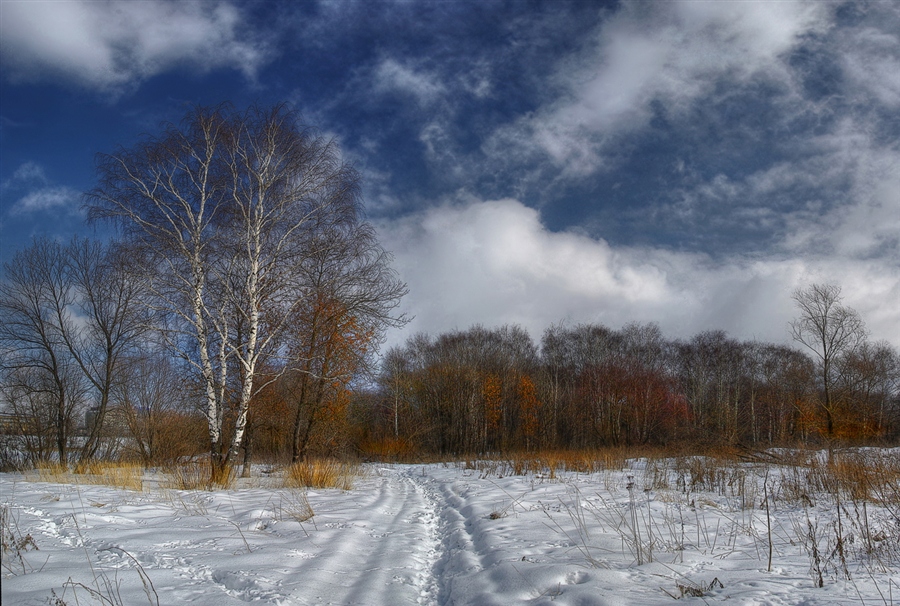 Фото жизнь