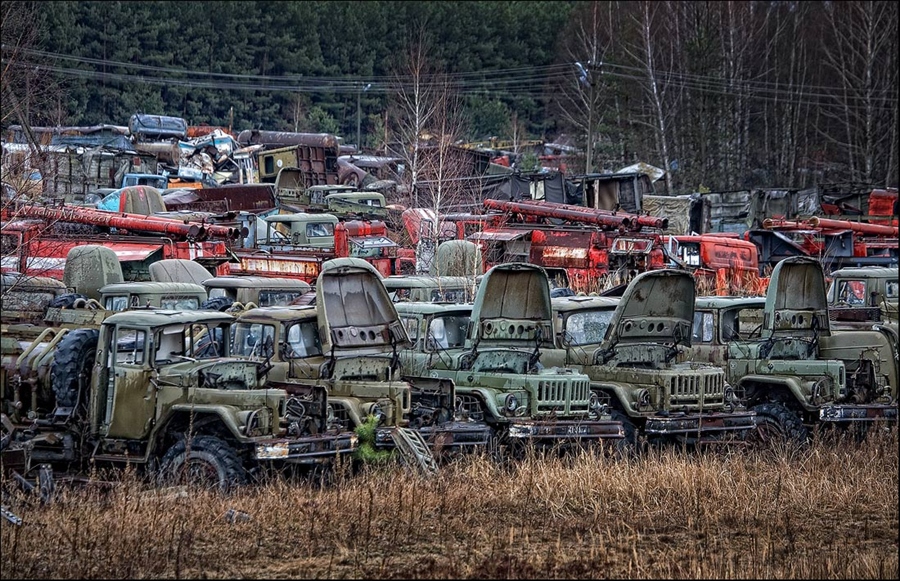 Фото жизнь