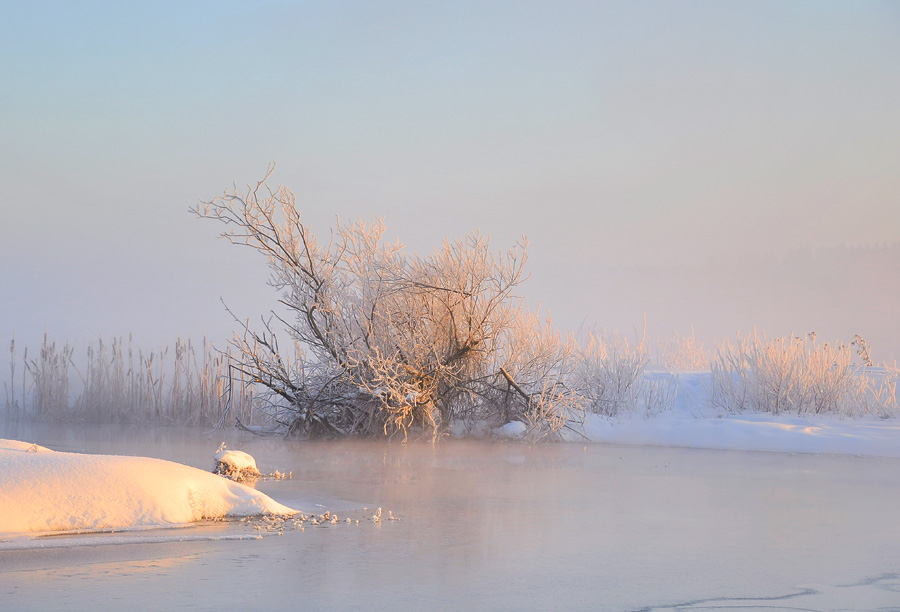 Фото жизнь (light) - Pastor - Зима - Туманное утро