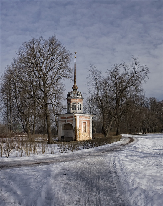 Фото жизнь