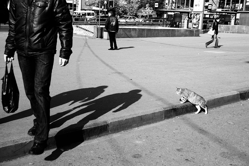 Фото жизнь (light) - npanchina - street photo - барьер