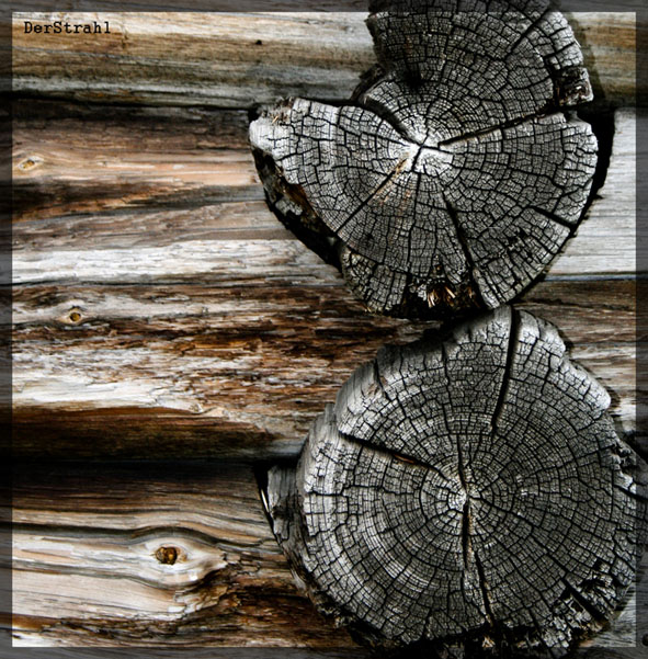 Фото жизнь - DerStrahl - корневой каталог - Old Wood