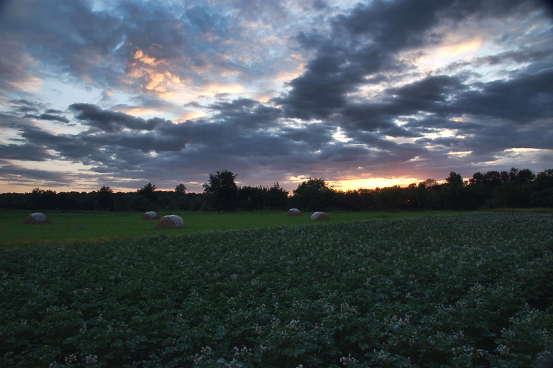 Фото жизнь (light) - FotoOhotnik - корневой каталог - Закат