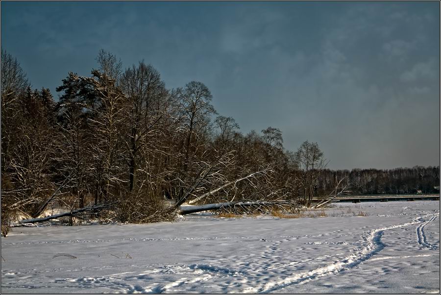 Фото жизнь - AlexSoft * Александр - Пейзаж - Хмурое утро