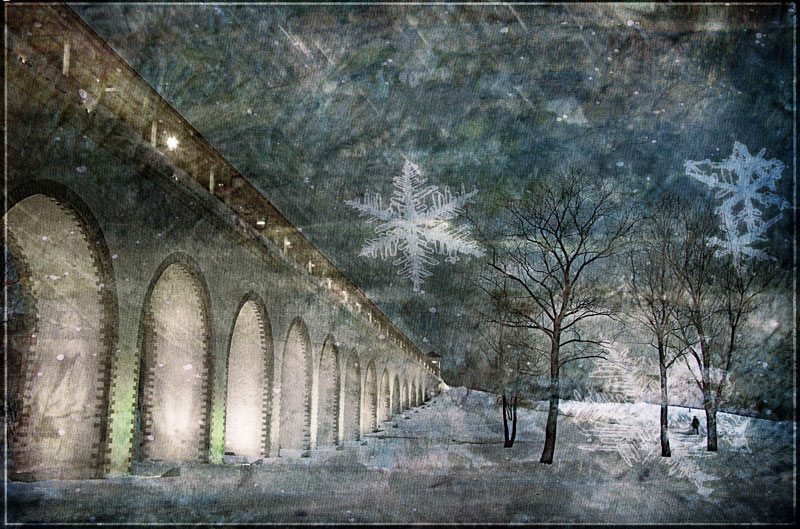 Фото жизнь (light) - LeraL - корневой каталог - Зимняя ночь