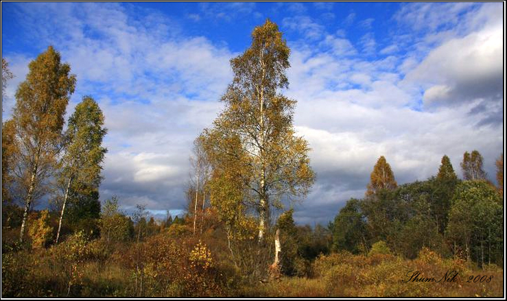 Фото жизнь (light) - NiK Shumilov  - "Зарисовки о природе..." - "Осенний мотив-3"