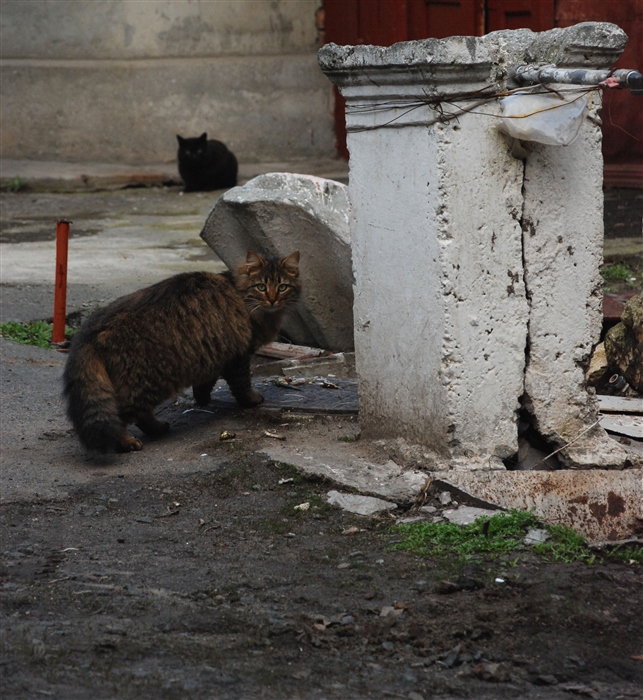Фото жизнь