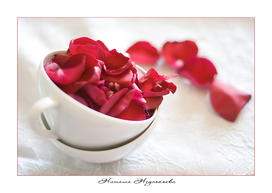 Фото жизнь (light) - Наталия Неупокоева - Натюрморты - ***