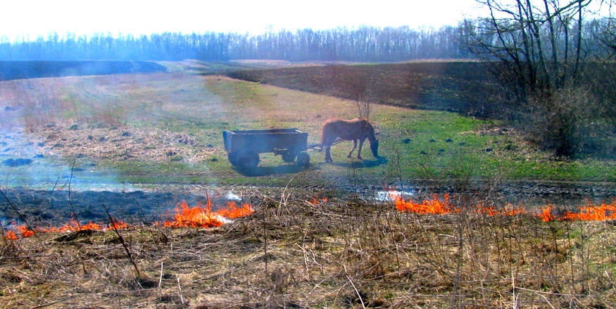 Фото жизнь (light) - Speed300 - корневой каталог - ...