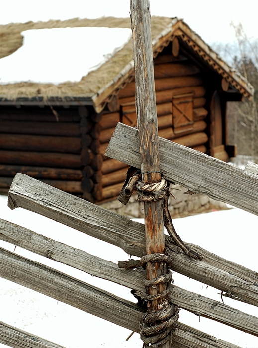 Фото жизнь