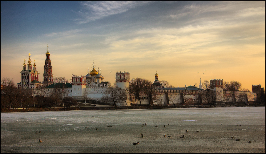 Фото жизнь (light) - rapuque - корневой каталог - Утиное царство