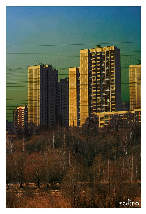 Фото жизнь